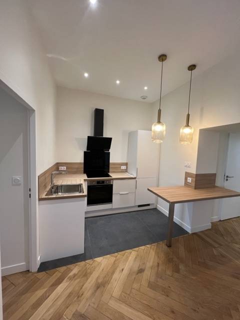 Entreprise de rénovation pour un appartement complet à Lyon 1